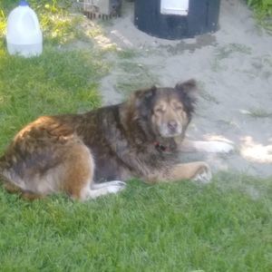 Meet your Posher, Shane